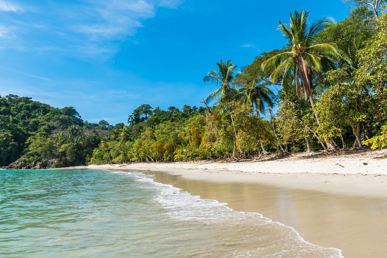 Buena Vista Beach Villas Manuel Antonio Eksteriør bilde